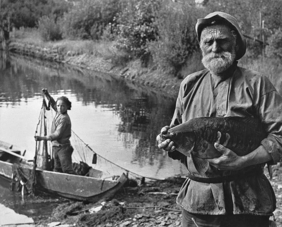 Чем жили. Астраханская рыба не всегда свежая. Но сколько ей лет, мы не знаем